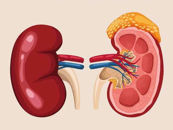 Urological Cancer Treatment & Surgery